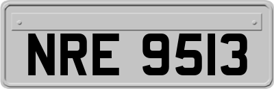 NRE9513