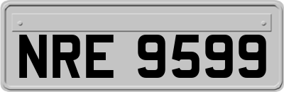 NRE9599