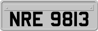 NRE9813
