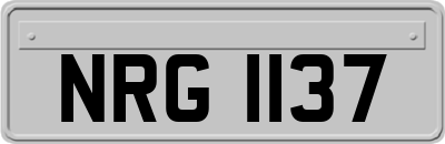 NRG1137