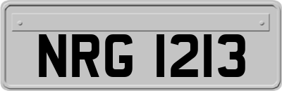 NRG1213