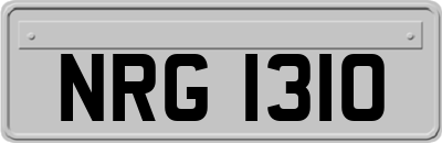 NRG1310