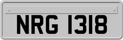 NRG1318