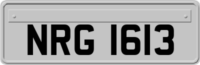 NRG1613