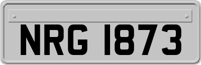 NRG1873