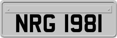 NRG1981