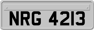 NRG4213