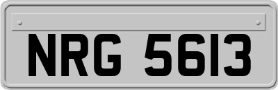 NRG5613