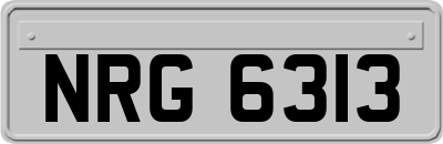 NRG6313