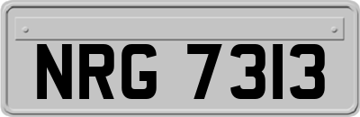 NRG7313