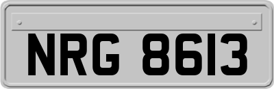 NRG8613