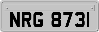 NRG8731