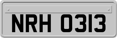 NRH0313