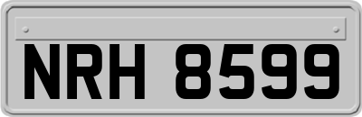 NRH8599