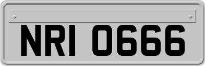 NRI0666