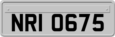 NRI0675