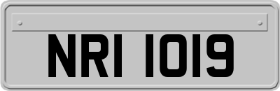 NRI1019