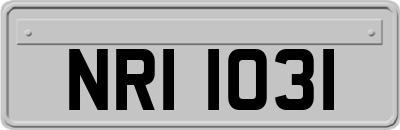 NRI1031