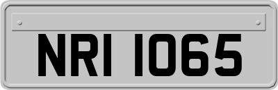 NRI1065