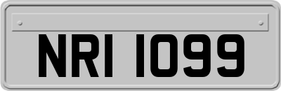 NRI1099
