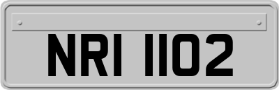 NRI1102