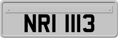 NRI1113
