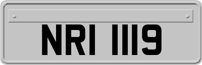 NRI1119