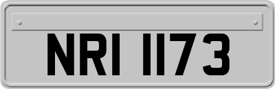 NRI1173