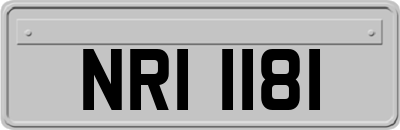 NRI1181