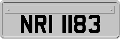 NRI1183