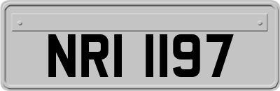 NRI1197