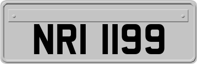 NRI1199