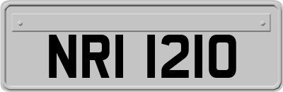 NRI1210