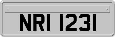 NRI1231