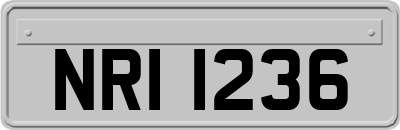 NRI1236