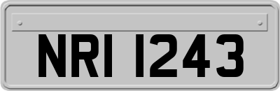 NRI1243