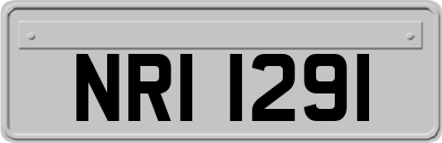 NRI1291