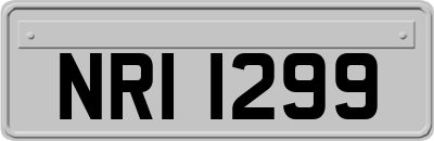 NRI1299