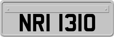 NRI1310