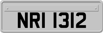 NRI1312