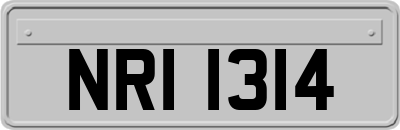 NRI1314