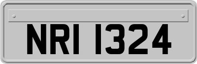 NRI1324