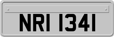 NRI1341