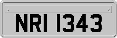 NRI1343