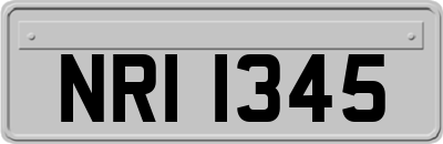 NRI1345