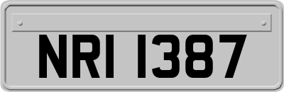 NRI1387
