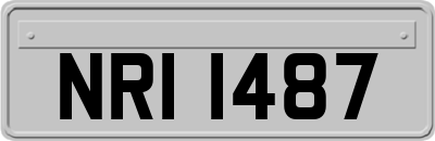 NRI1487
