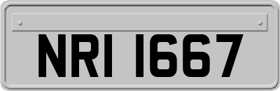 NRI1667