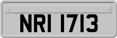 NRI1713
