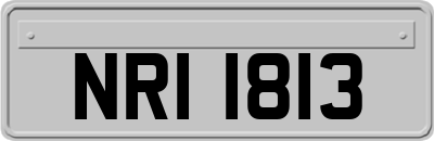 NRI1813